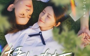 短剧《梧桐树下，相思成空（69集）》短剧全集免费在线览