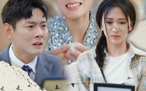 短剧《妈妈的遗愿（50集）》优质短剧全集免费播放