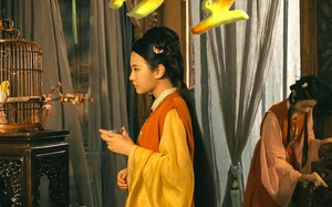 短剧《贪生（50集）》高清短剧完整版免费观