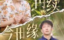 短剧《再续今世缘（83集）》精彩短剧免费在线追
