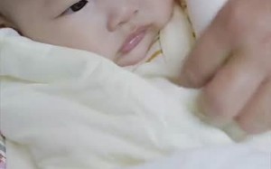 短剧《惹不起的人（91集）》热门短剧高清在线赏