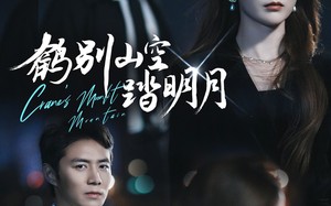 短剧《鹤别山空踏明月（53集）》精彩短剧免费在线追