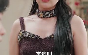 短剧《净身出户后系统助我积累财富（104集）》热门短剧全集免费看