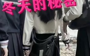 短剧《冬天的秘密（60集）》超清短剧免费全集看