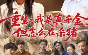 短剧《向阳年代（81集）》经典短剧完整剧情在线览