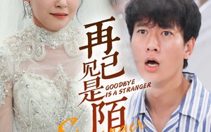 短剧《再见已是陌客（55集）》短剧免费全集在线赏看