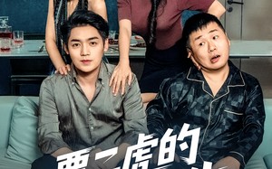 短剧《贾二虎的硬核人生（80集）》热门短剧全集无广告观看