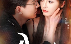 短剧《入局以身为棋（60集）》短剧超全剧集免费览