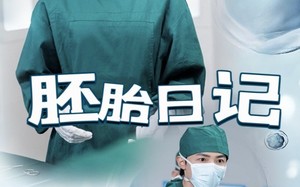 短剧《胚胎日记（54集）》热门短剧全集免费看