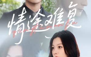 短剧《情途难复（50集）》短剧完整版免费畅看