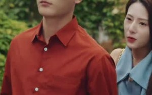 短剧《不辞春色（96集）》热门短剧免费在线览