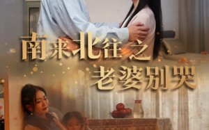 短剧《南来北往之老婆别哭（87集）》免费短剧完整版畅享