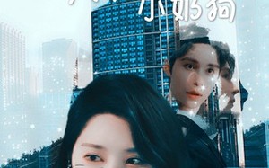 短剧《我的失忆小奶狗（64集）》短剧在线高清全集观赏