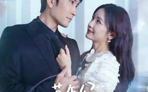 短剧《茶怎么了不影响我重生开大（80集）》短剧高清完整版看