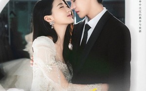 短剧《今日宜结婚（80集）》经典短剧免费完整享