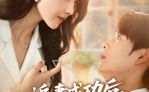 短剧《追妻成功后他亮出了底牌（80集）》短剧完整版免费观看