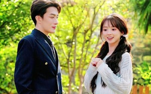 短剧《桃花喜事（63集）》优质短剧全集畅享看