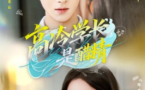 短剧《高冷学长是醋精（65集）》短剧完整版免费观看