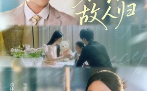 短剧《花落故人归（66集）》热门短剧在线免费览