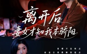 短剧《离开后妻女才知我本骄阳（112集）》高清短剧全集免费观映