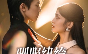 短剧《驯服纨绔小娇夫（80集）》热门短剧免费全集速看