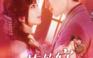 短剧《芙蓉宴（125集）》短剧免费在线看完整版