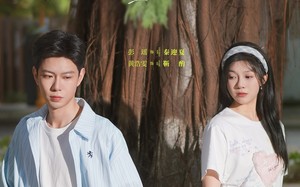 短剧《藏不住的告白（76集）》短剧全集免费在线览