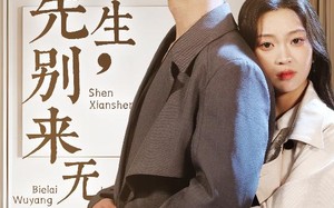 短剧《沈先生，别来无恙（60集）》热门短剧全集免费看