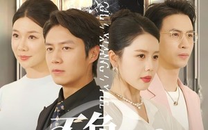 短剧《不负故乡月（70集）》优质短剧免费在线赏