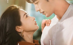 短剧《玫瑰藏进晚风里（68集）》超火短剧免费在线赏