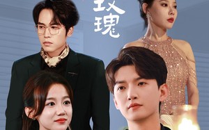 短剧《他的危险玫瑰（101集）》超长短剧免费全集观看