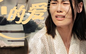 短剧《遗失的爱（30集）》优质短剧在线免费观