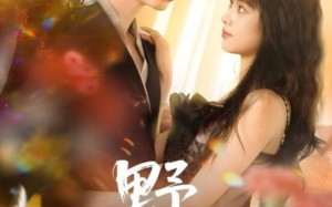 短剧《野焰（60集）》短剧无广告全集速览