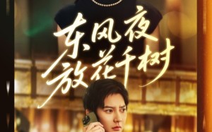 短剧《东风夜放花千树（91集）》短剧完整剧情免费观