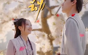 短剧《凤凰劫（98集）》短剧全集免费畅心赏