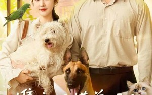 短剧《携空间懂兽语！真千金震惊家属院（81集）》热门短剧全集免费观看