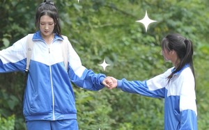 短剧《双生花（36集）》热门短剧完整版畅看