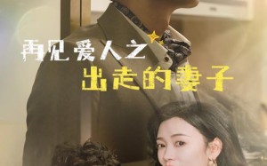 短剧《再见爱人之出走的妻子（85集）》热门短剧免费全集看