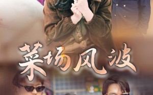 短剧《菜场风波（35集）》短剧免费全集在线看不停