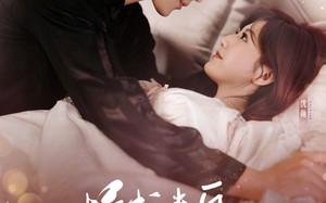 短剧《情书来自五年后（100集）》优质短剧全集免费享