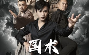 短剧《国术天下无敌（62集）》热门短剧免费全集看
