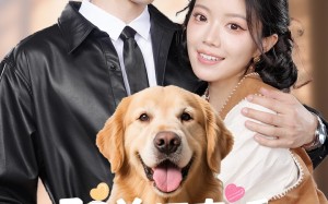 短剧《驭兽师直播听动物心声吃瓜破案（73集）》热门短剧完整版速看