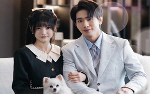 短剧《落幕山茶花（50集）》精彩短剧在线畅享