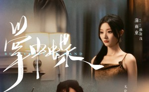 短剧《掌中蝶（84集）》短剧全集免费随心观