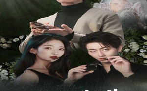 短剧《错位人生（33集）》高清短剧全集免费观看