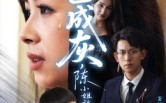 短剧《爱已成灰陈小姐放手不再回头（30集）》短剧免费完整版在线速览
