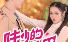 短剧《陆少的小尾巴又萌又猛（55集）》热门短剧完整版在线