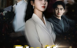 短剧《别惹女人（31集）》优质短剧免费全集在线观