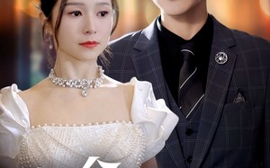 短剧《许念，我等你十年（55集）》精彩短剧免费在线享