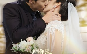 短剧《想你是三分泉水七分月（84集）》短剧完整版免费在线看